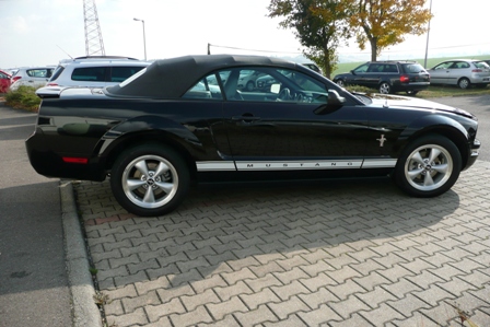 Mustang