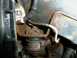 Rost