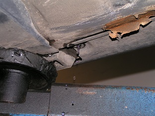 Rost