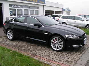 Jaguar